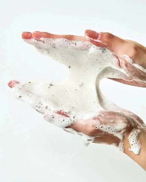 Anua Heartleaf Quercetinol Pore Deep Cleansing Foam 150 ml ANUA