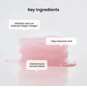 BIODANCE Collagen Gel Toner Pads  ( 60 Pads ) BIODANCE