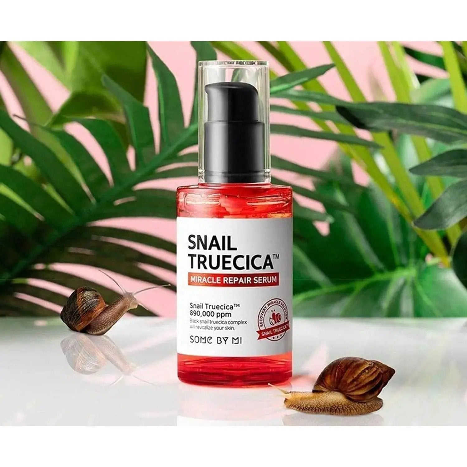 SOME BY MI Snail Truecica Scar Healing Kit SOME BY MI