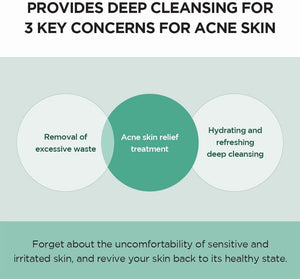 SKIN1004 Madagascar Centella Tea-Trica Bha Foam Skin1004