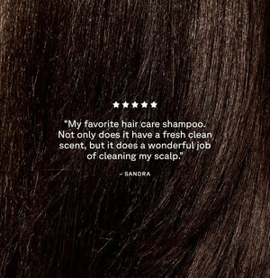 ACURE Curiously Clarifying Shampoo and Conditioner Set ACURE