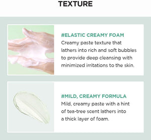 SKIN1004 Madagascar Centella Tea-Trica Bha Foam Skin1004